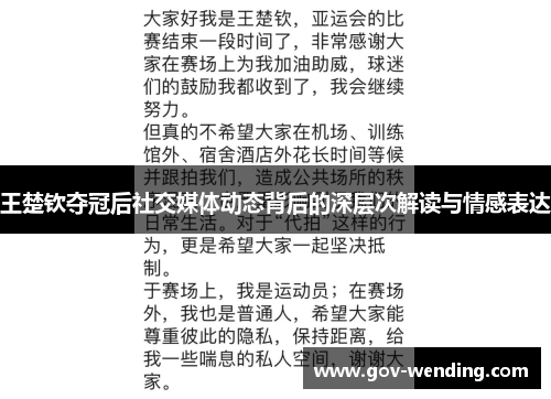 王楚钦夺冠后社交媒体动态背后的深层次解读与情感表达