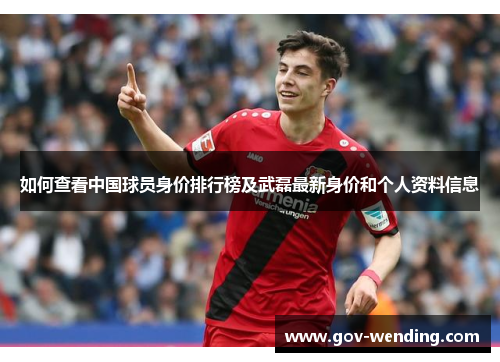 如何查看中国球员身价排行榜及武磊最新身价和个人资料信息