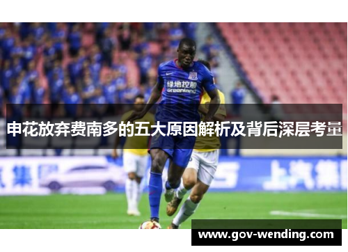 申花放弃费南多的五大原因解析及背后深层考量