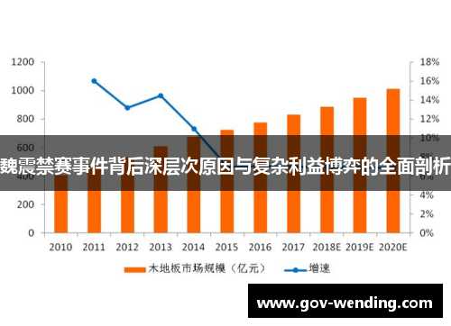 魏震禁赛事件背后深层次原因与复杂利益博弈的全面剖析