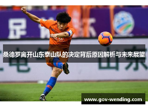 桑德罗离开山东泰山队的决定背后原因解析与未来展望