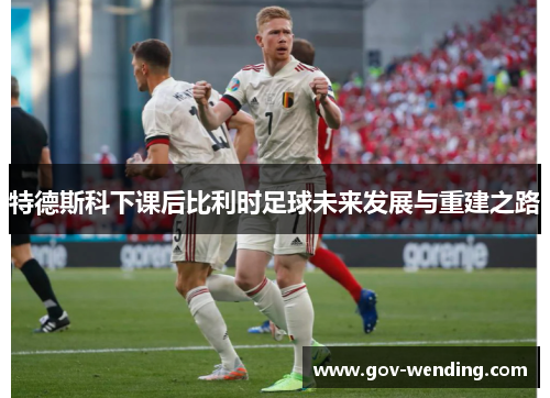 特德斯科下课后比利时足球未来发展与重建之路