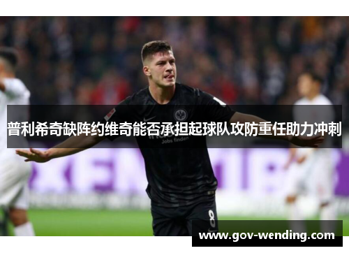 普利希奇缺阵约维奇能否承担起球队攻防重任助力冲刺