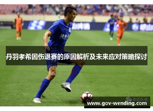 丹羽孝希因伤退赛的原因解析及未来应对策略探讨