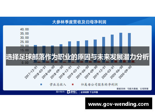 选择足球部落作为职业的原因与未来发展潜力分析