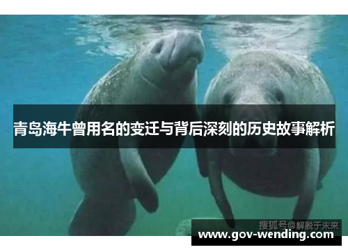 青岛海牛曾用名的变迁与背后深刻的历史故事解析